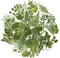 100Pcs Small Green Leaf Stickers,Nature Plant Stickers (Flower)